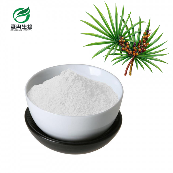 Saw Palmetto Extract