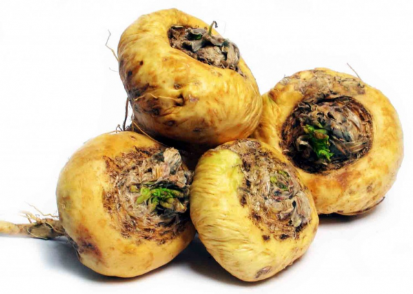 maca root