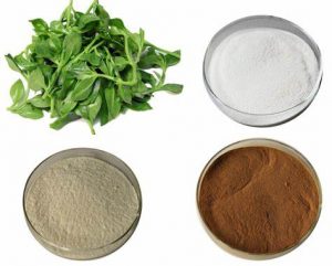 OIP-C Andrographis Paniculata Extract Powder