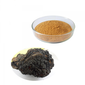 Chaga Extract SRBio