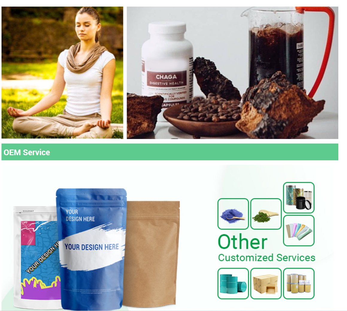 Chaga extract powder SRBio Chaga extract powder SRBio