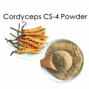 Cordyceps extract-SRBio Cordyceps extract-SRBio