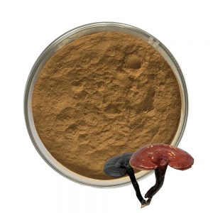 Organic Lingzhi extract SRBio