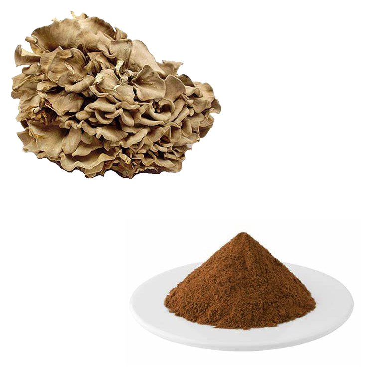 Maitake Extract Xi'an SR BioEngineering Co.,Ltd