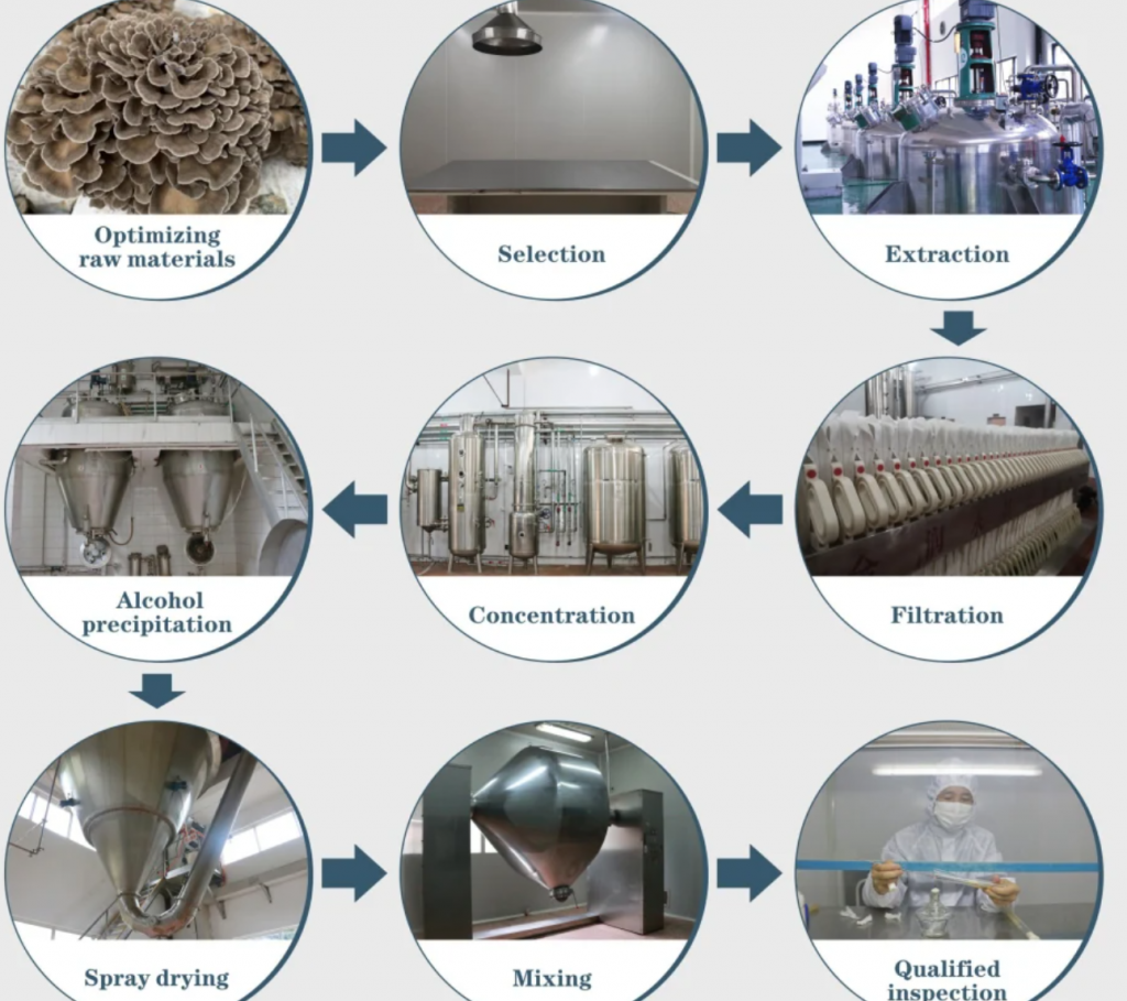 Maitake Extract flow chart-SRBio Maitake Extract flow chart-SRBio