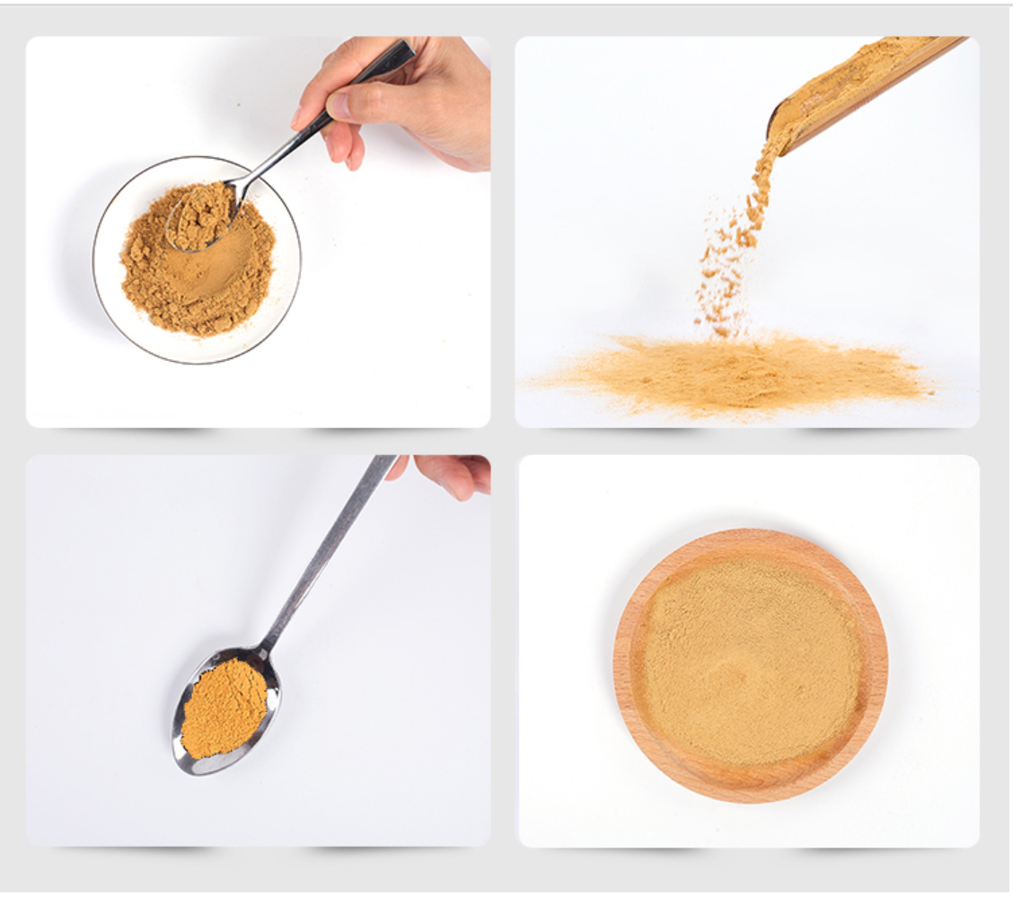Organic Turkey tail extract powder-SRBio Organic Turkey tail extract powder-SRBio