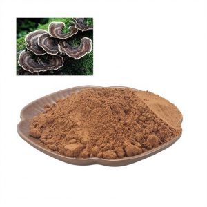 Turkey Tail Extract SRBio Turkey Tail Extract SRBio