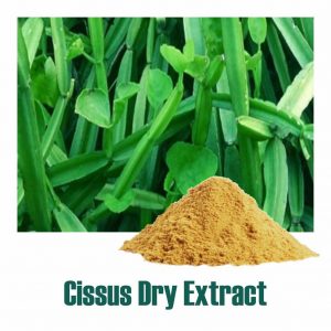 Cissus Extract-SRBio