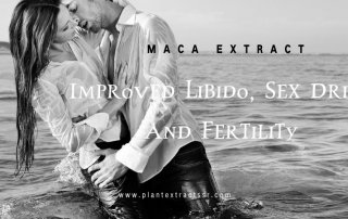 maca extract for sex drive-SRBio