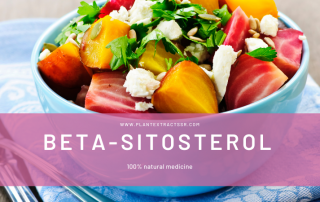 Beta-Sitosterol-SRBio