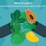 Lutein
