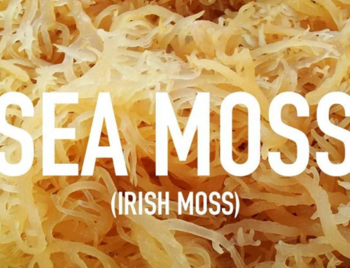 Irish Sea Moss Is the Popular Supplement You Definitely Need 