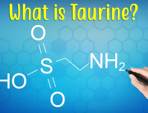 Taurine May Be a Key to Longer and Healthier Life?