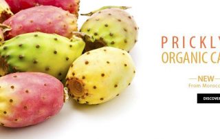 prickly pear extract