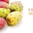 prickly pear extract