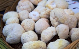 lions-mane-mushrooms