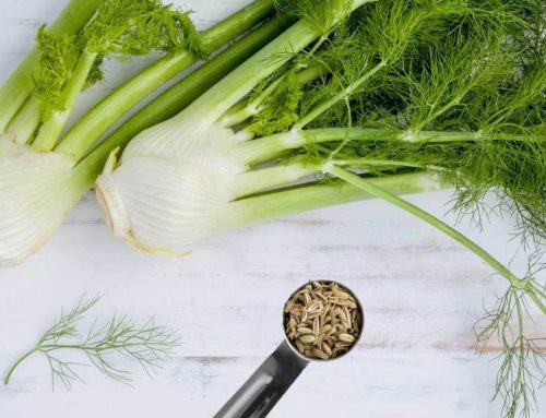 Fennel seeds – a magical herb