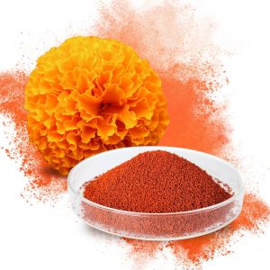 lutein-extract-powder-SRBio lutein-extract-powder-SRBio